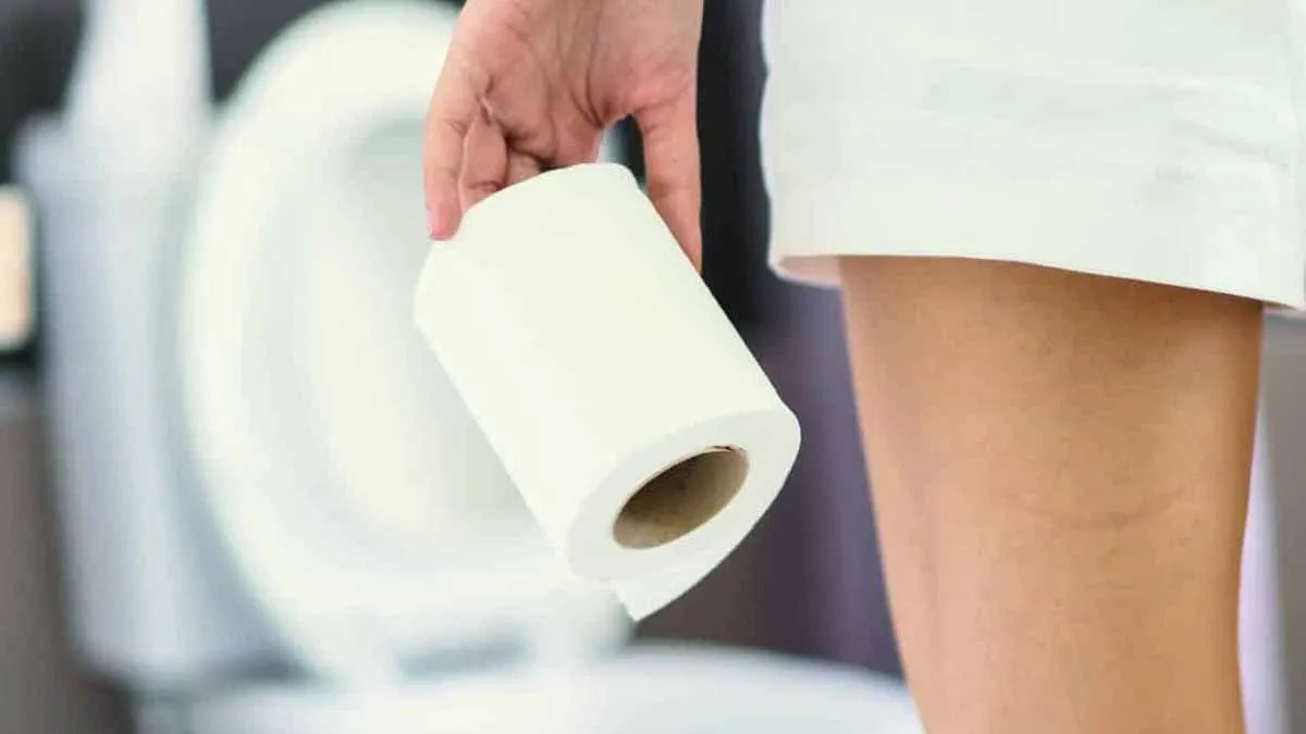 Co je nového v koupelně: vodou založené systémy pro čištění toalet